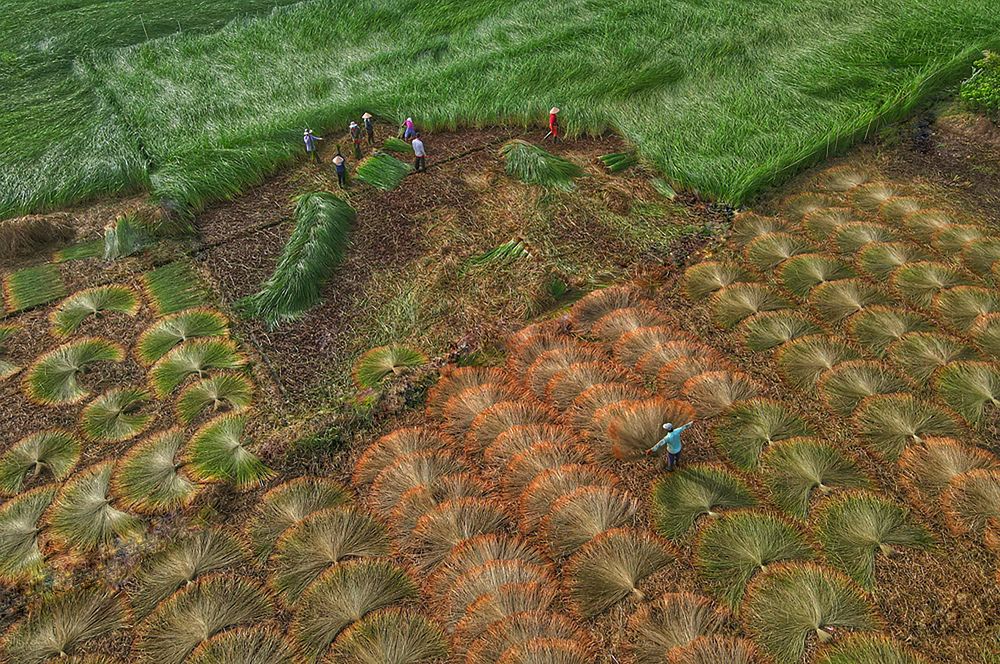 Photograph by Nguyễn Châu