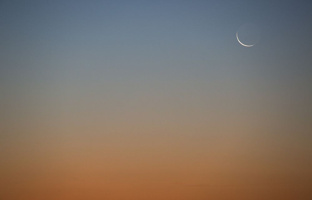 Photograph by Marina