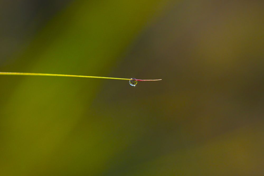 Фотография автора Marina