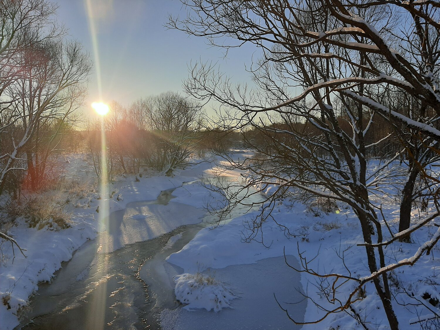 Photo #7414022