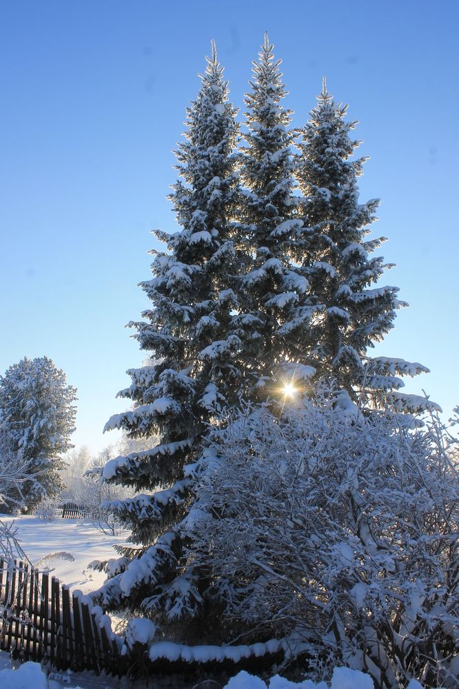 Photograph by Галина Радчук