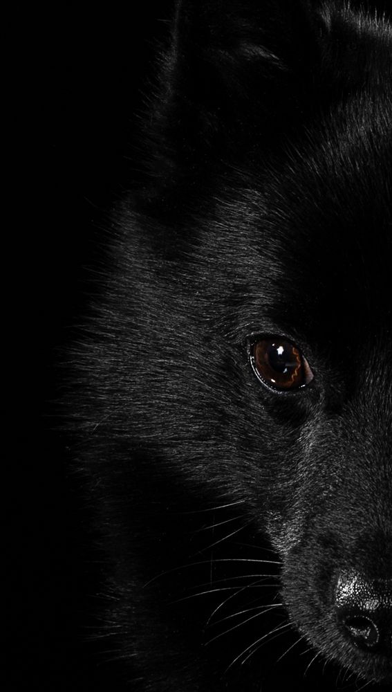 Photograph by Спесивцева Эльмира