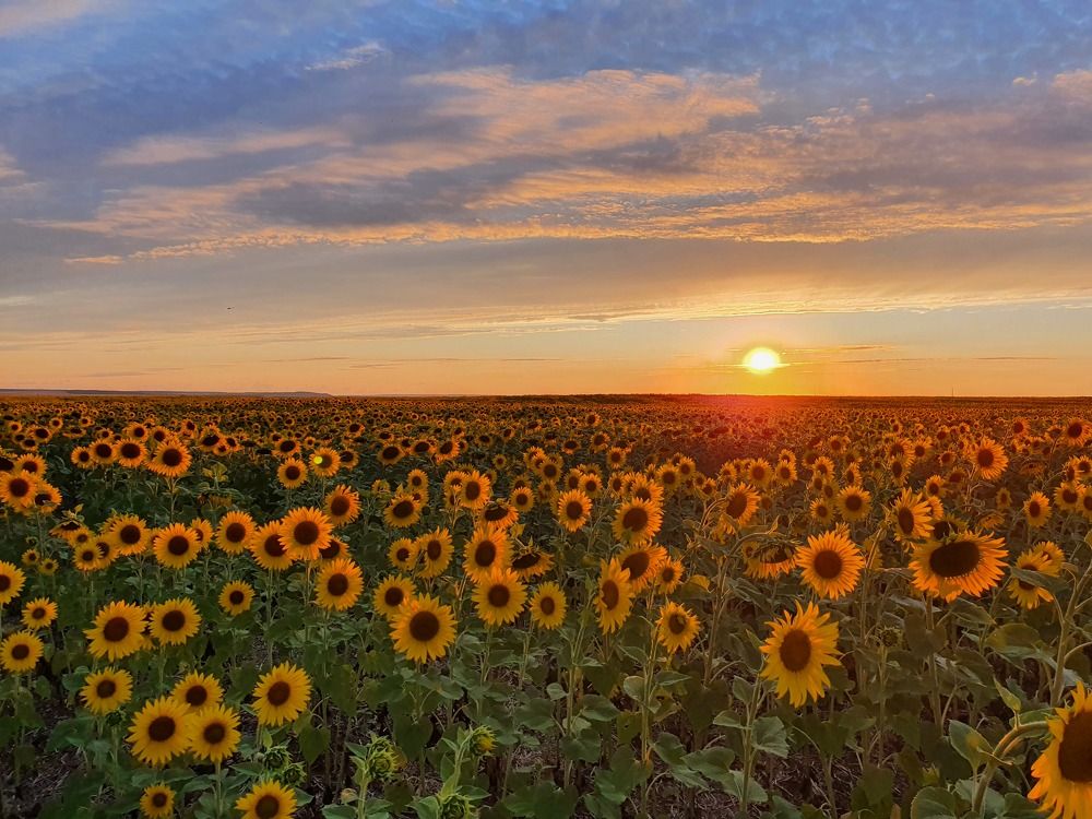 Photograph by Дмитрий