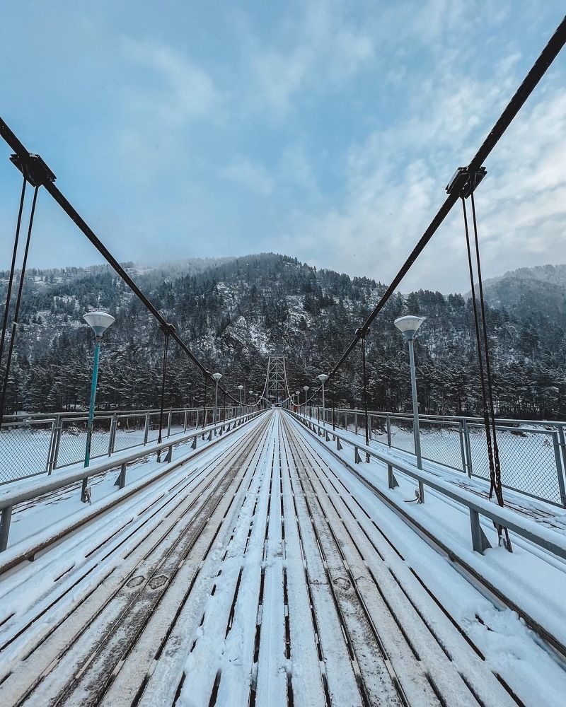Фотография автора Светлана Ляпина