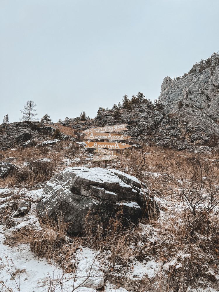 Фотография автора Светлана Ляпина