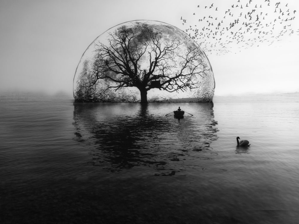 Photograph by Mohammad reza Falah