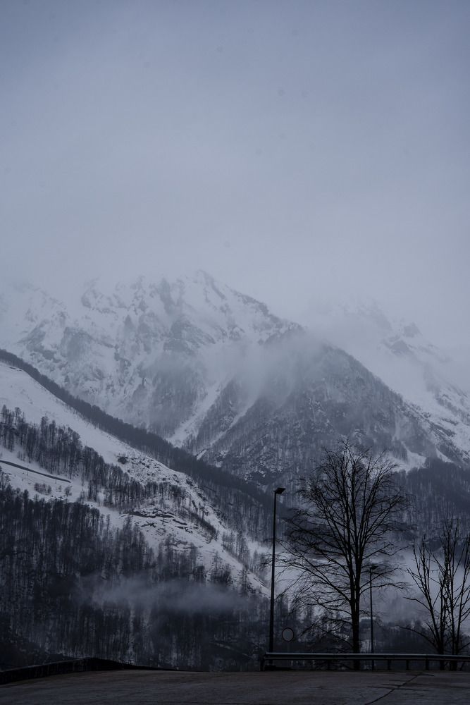 Photograph by Юлия Силина