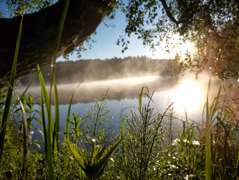 Июньским утром.