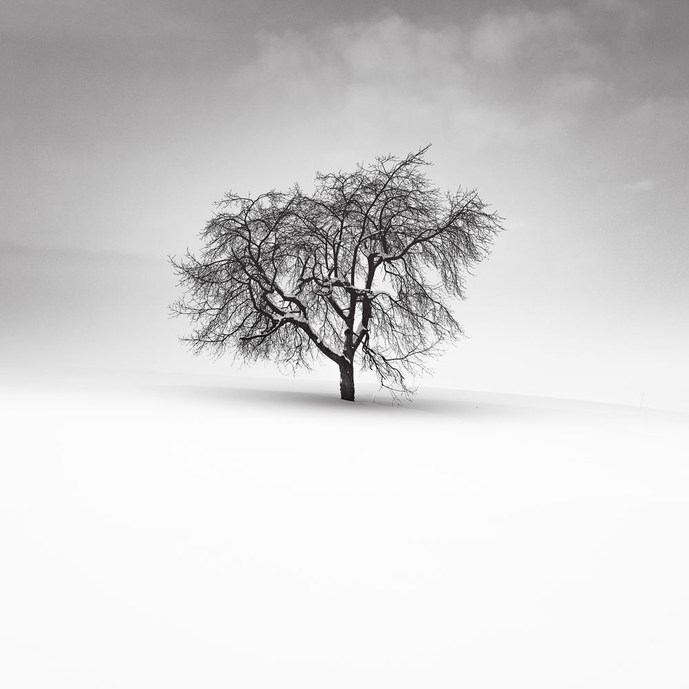 Photograph by Iwasaki Roy