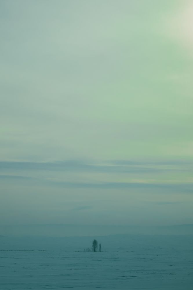 Photograph by Оксана Корчагина