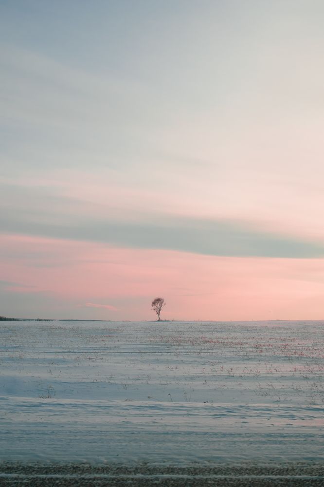 Photograph by Оксана Корчагина