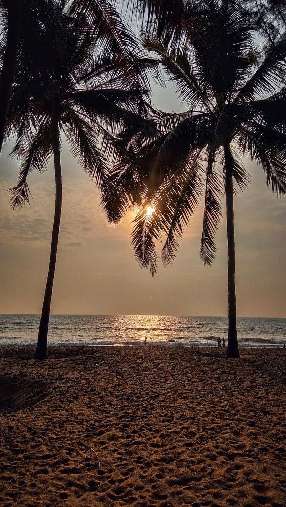 Photograph by ANIRUDH M