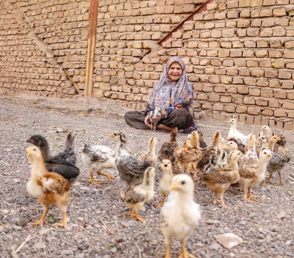 Photograph by مهدیه عباسیان