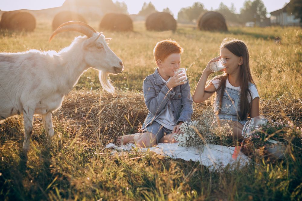 Photograph by Светлана Огнёва