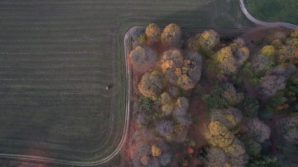 Photograph by Pavel Rudman