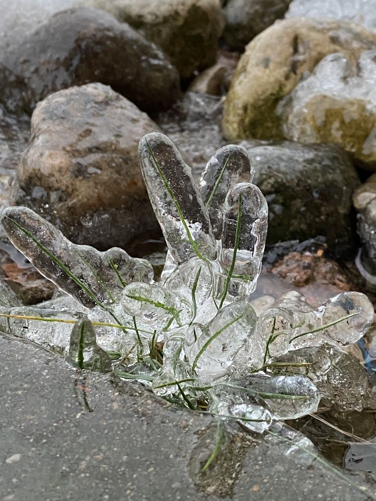 Photograph by Pavel Rudman