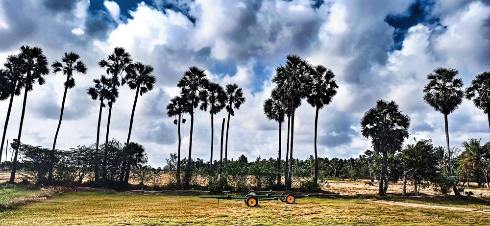 Photograph by Diwakaran D