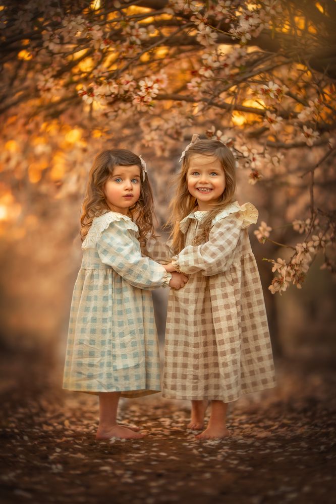 Photograph by yarden kaplan