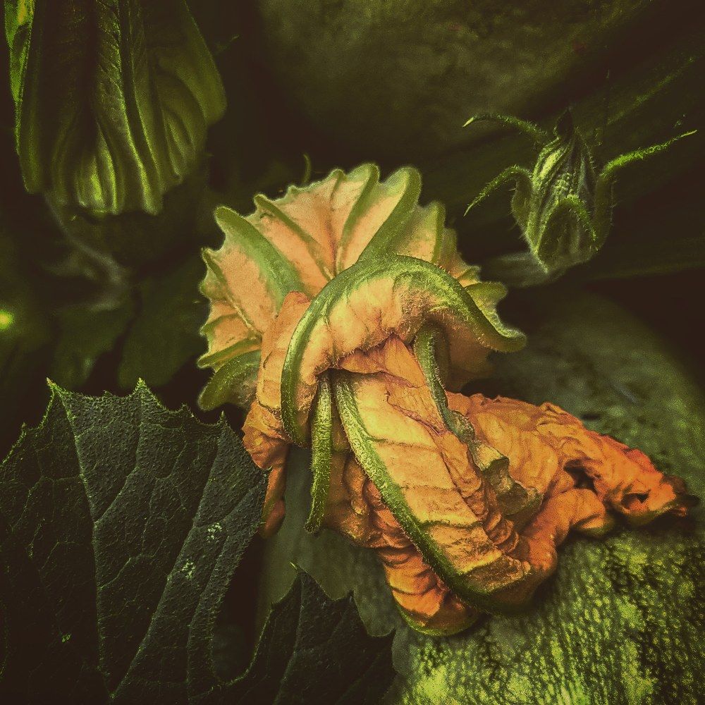 Photograph by 
