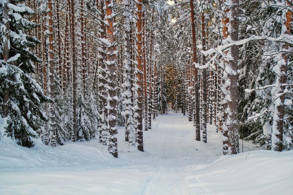 Photograph by Наталья Баруля