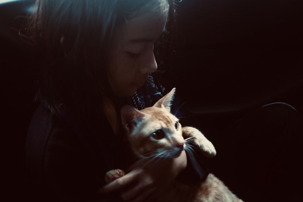 Photograph by Deasy Junita Dhani Hidayana