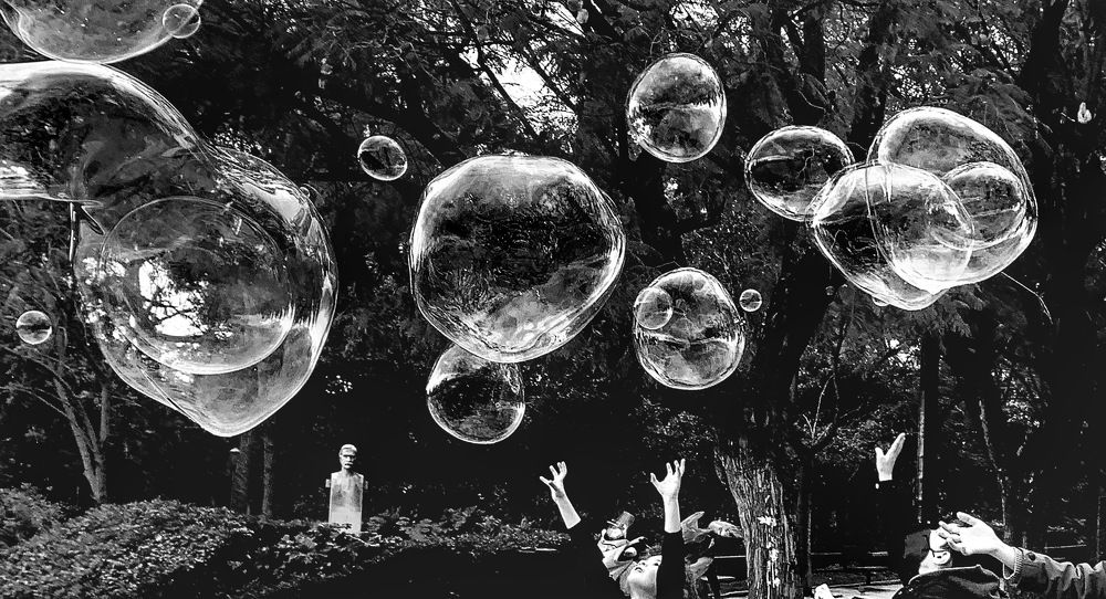 Photograph by Julia X