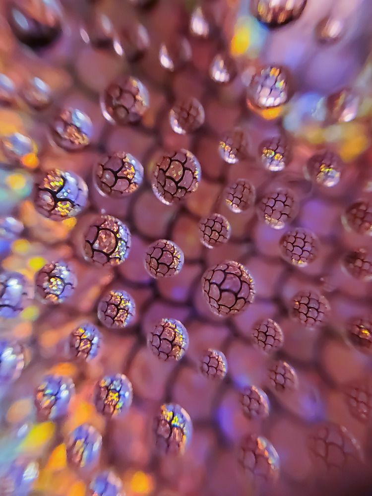 Капли на фоне