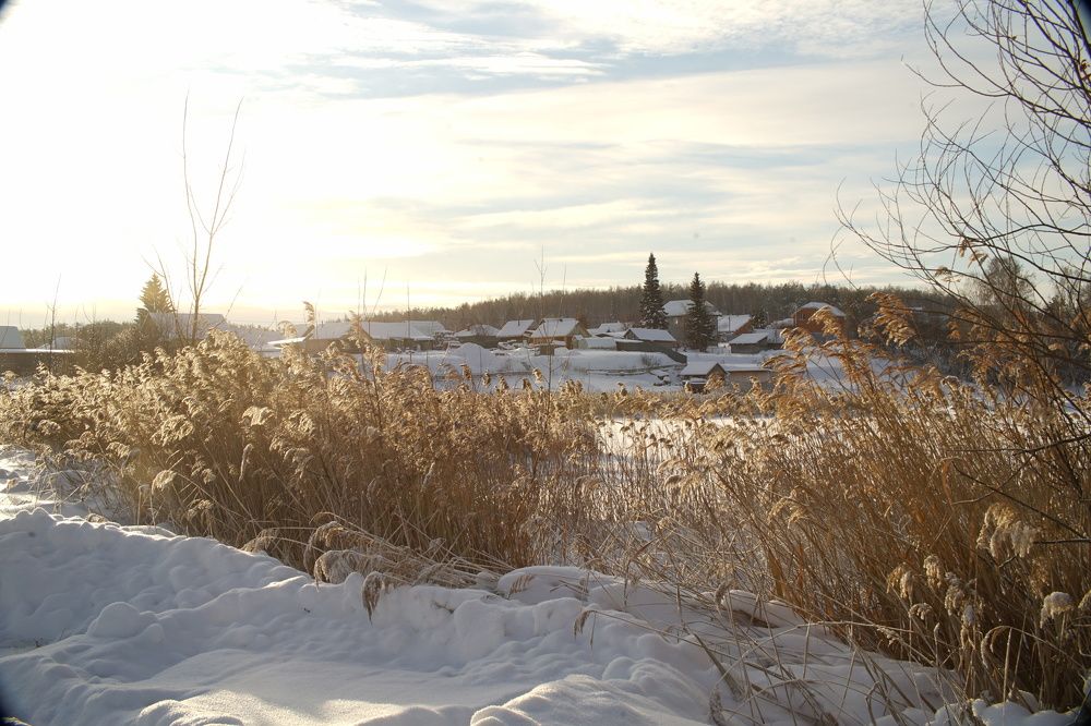 Photograph by Алина Брагина