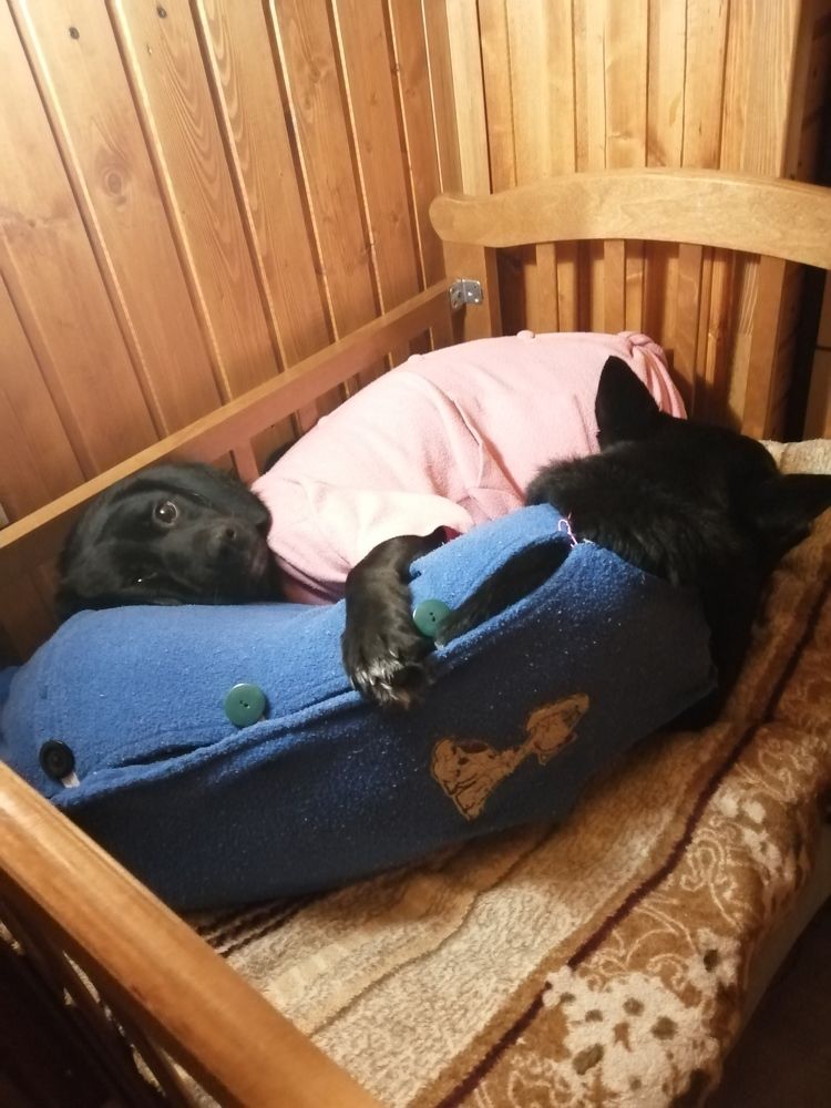 Photograph by Шафиева Ирина Алексеевна