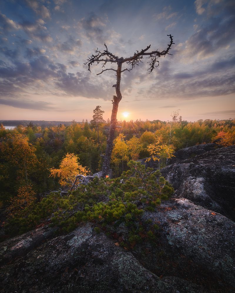 Photograph by Кононов Антон