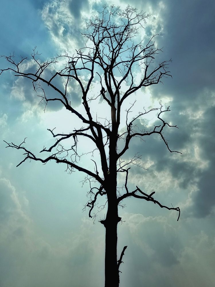 Photograph by Prabas Kumar Sahoo