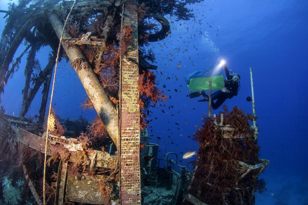 Photograph by Сергей Глущенко