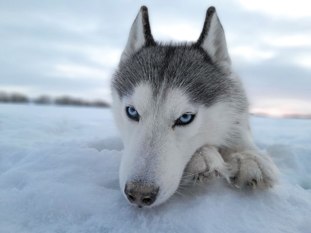 Фотография автора Мария Яропольская