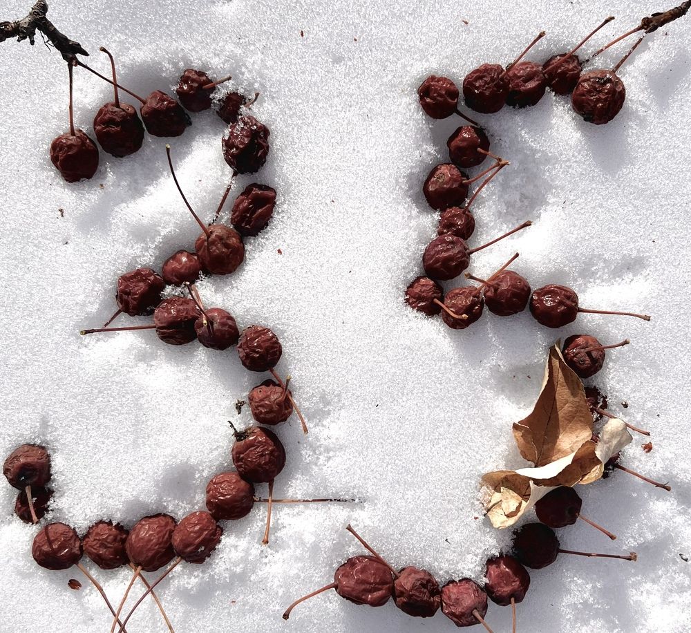 Photograph by Елена Мизина