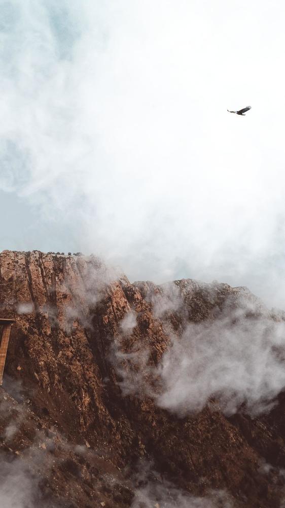 Photograph by شروق الهذلي