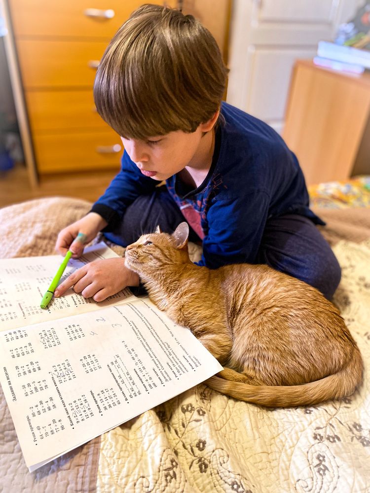 Photograph by Мария Чернецова