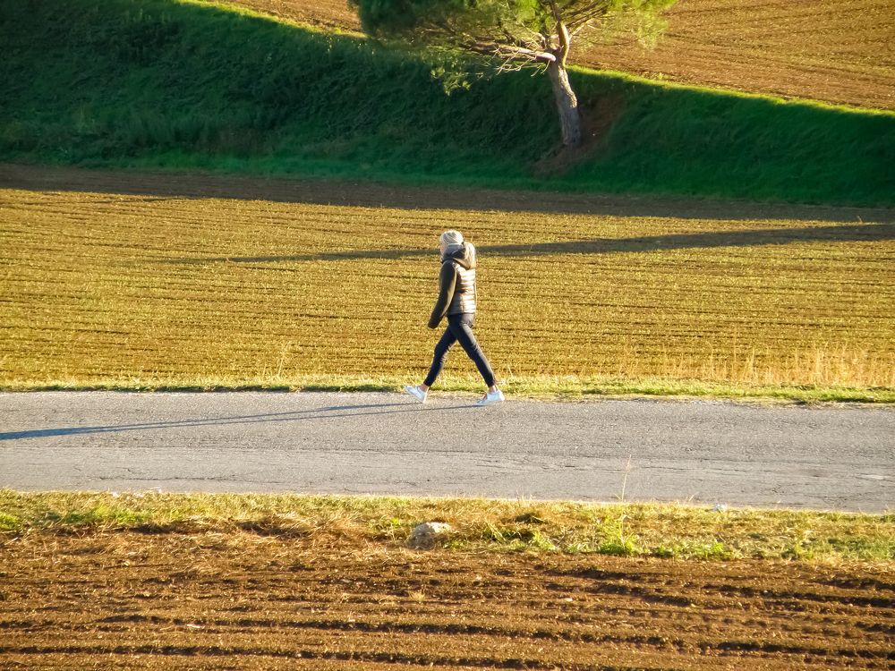 Фотография автора Angelo Dolci