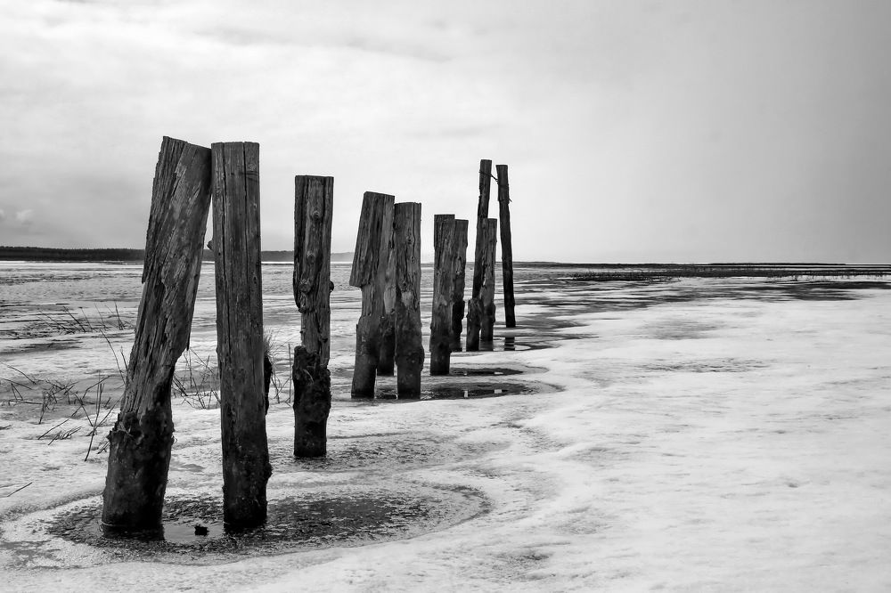 Photograph by Stas Staroverov