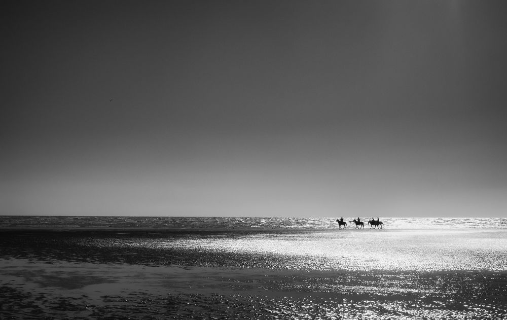 Photograph by Selaru Ovidiu