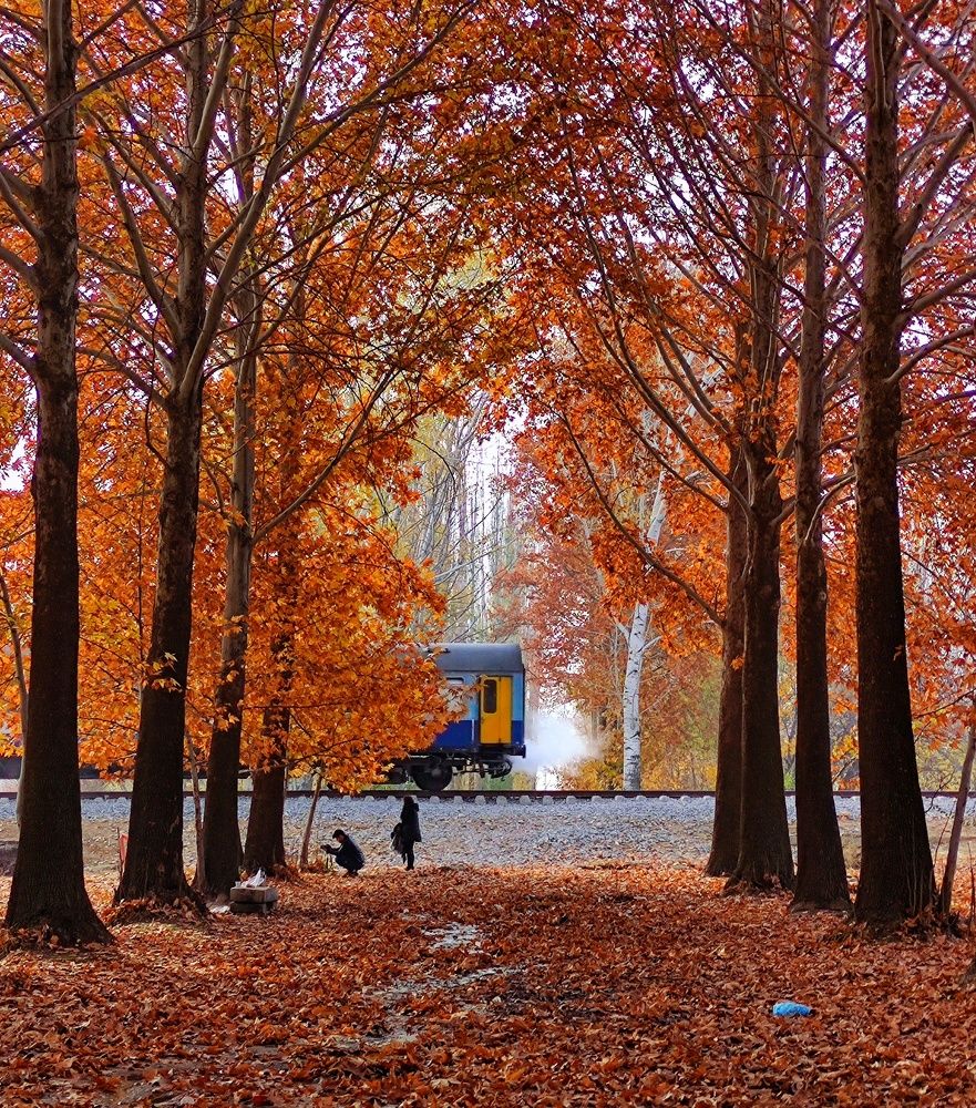 Photograph by Ali goreishi1
