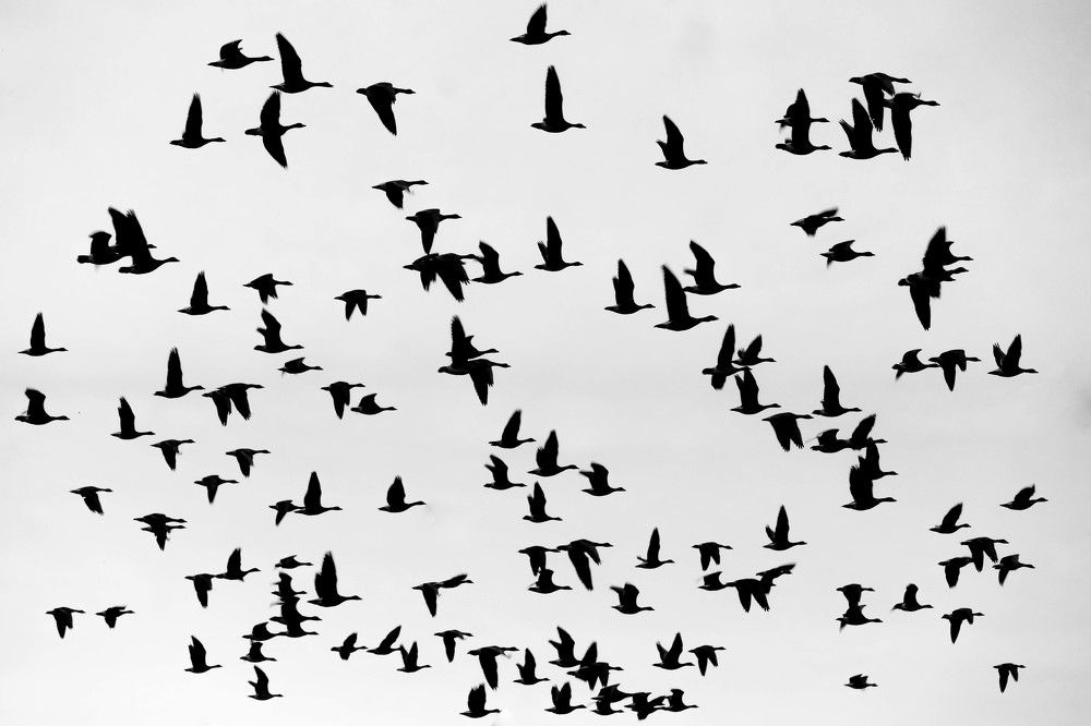 Photograph by Susanna Kari