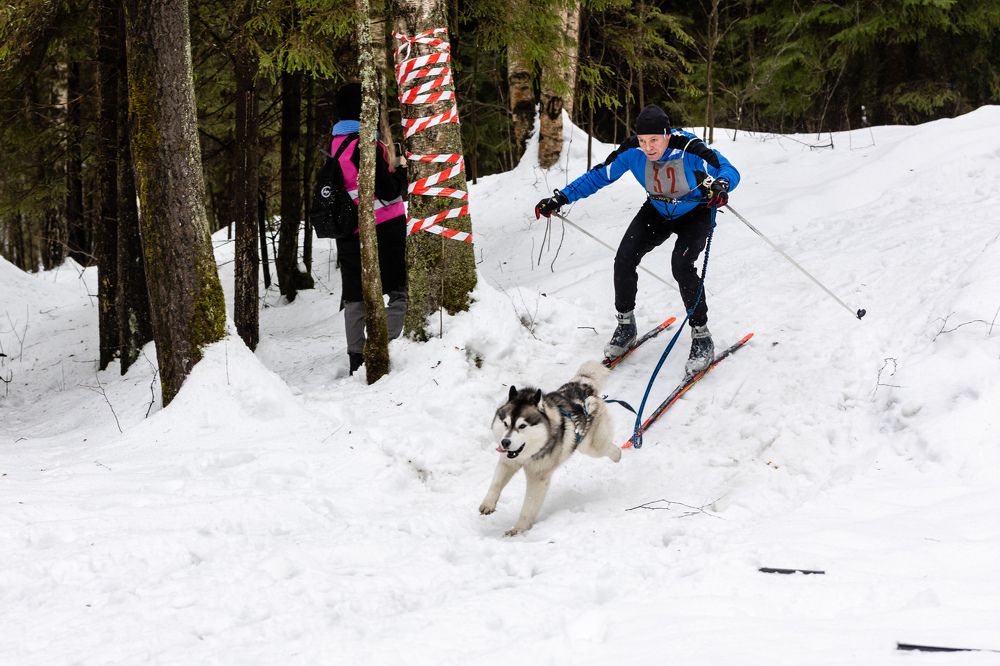 Photograph by Илья Юфа