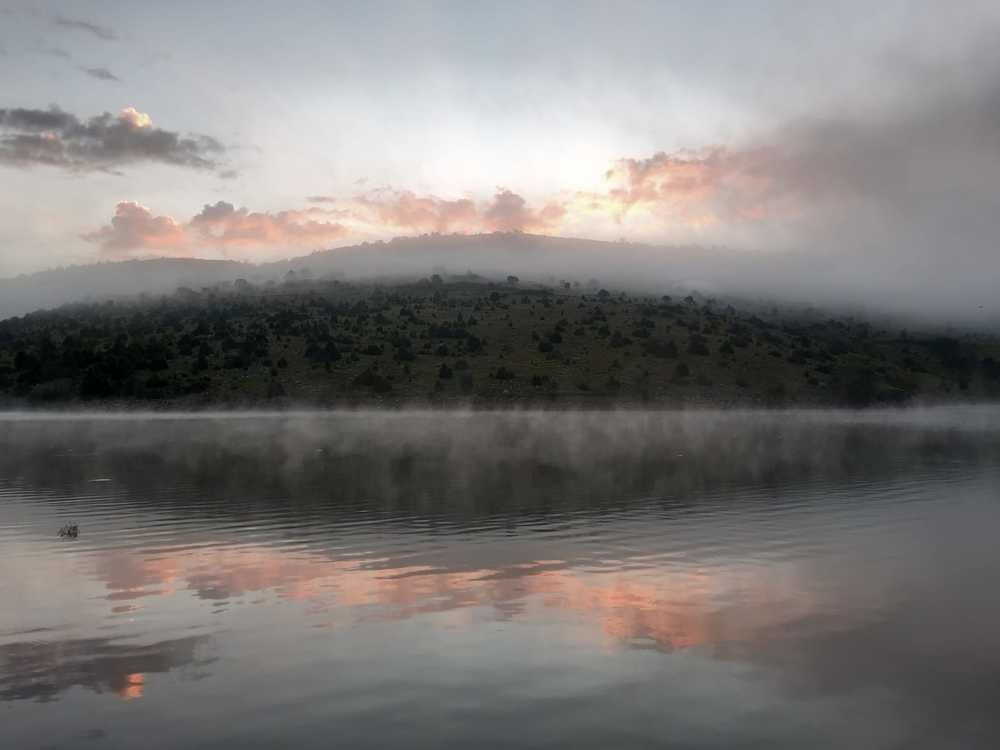 Photograph by Maja Micovic