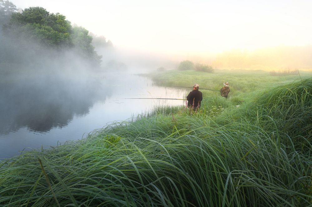 Photograph by Юлия Лаптева