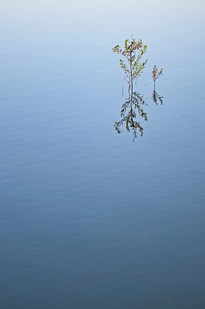 Отражение тишины