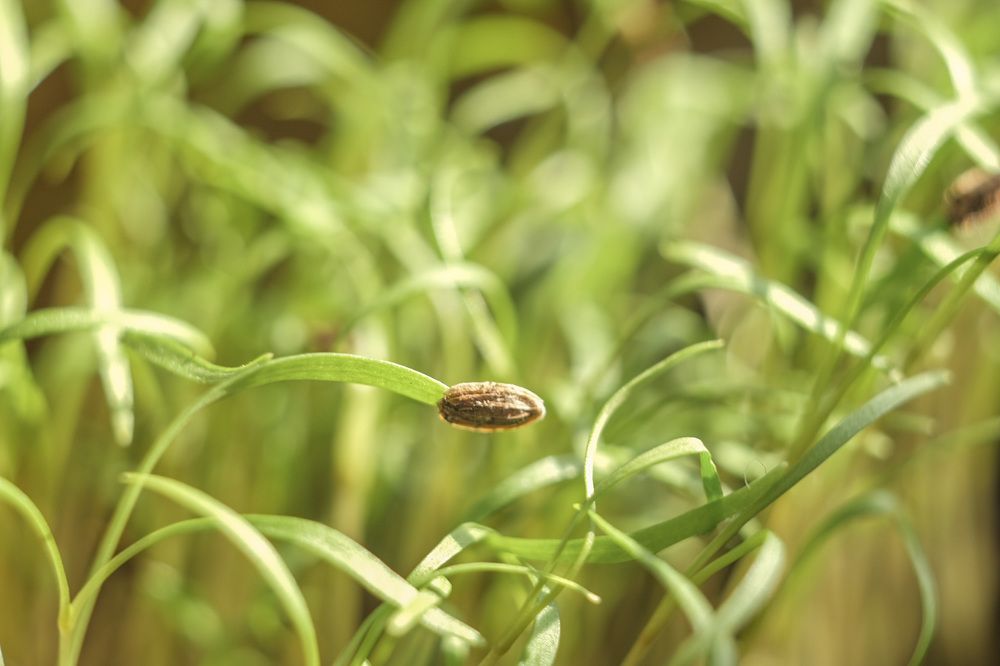 Photograph by Алла Давыдова