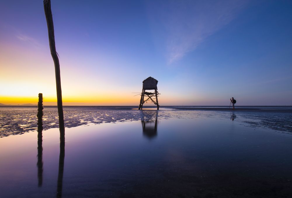 In the morning light