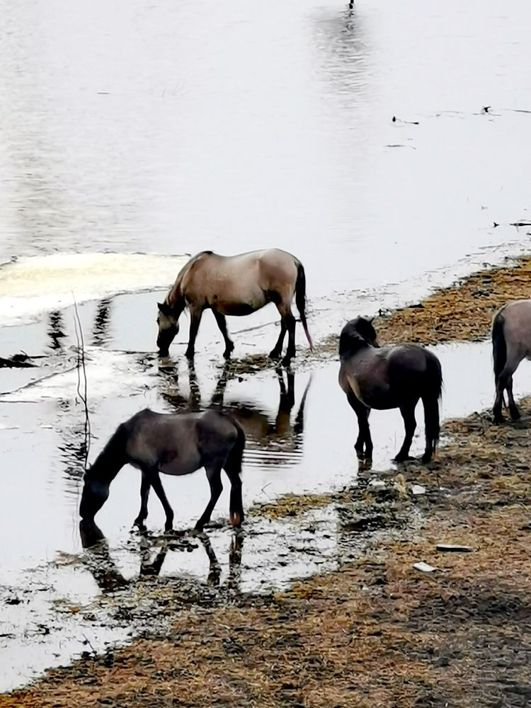 Photograph by Raitis Miksons