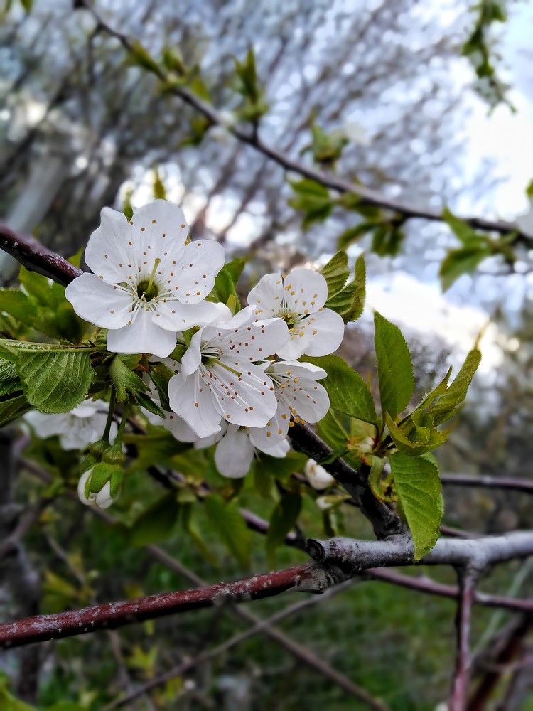 Photograph by mohammad mohammadijo