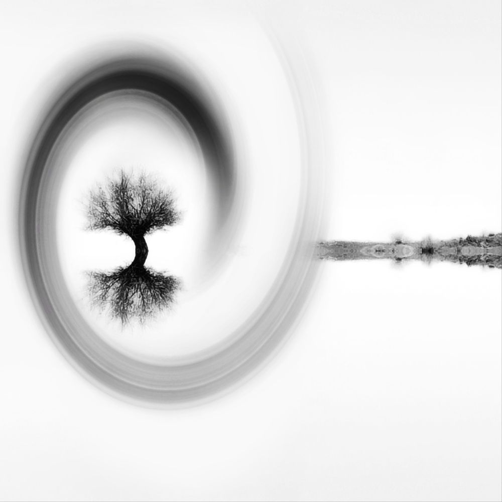 Photograph by Hannaneh Akhoondi